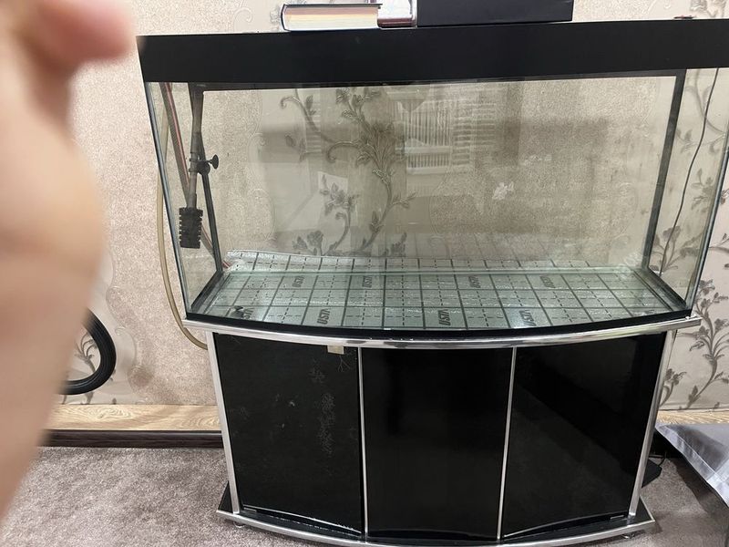 Akvarium 180litr, 2 ta led lampa, drakoniya kamin tosh, karyaga Azaly