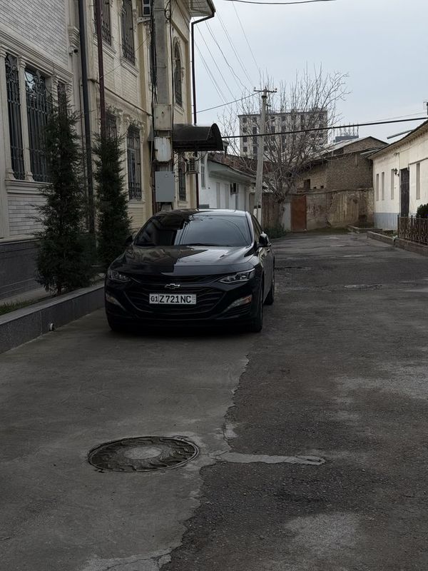 Malibu 2 xl ozimiki 2023