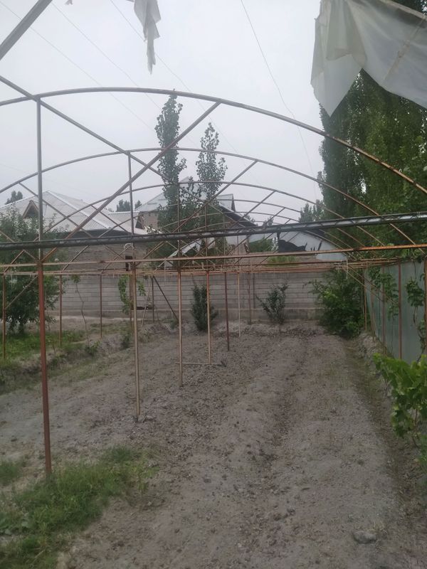 Иссикхона , парник , теплица