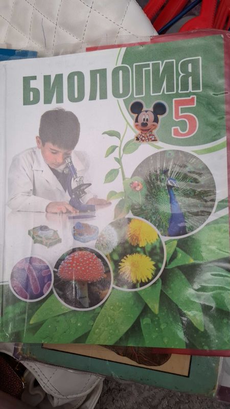 Биология 5 класс 2020 год Биология 5 класс 2020 год