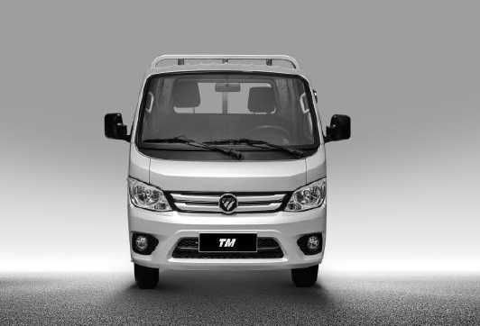 FOTON truckmate 2 D1