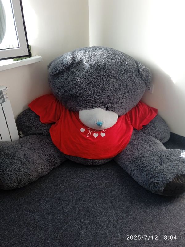 Teddy ayiqchasi. Teddy ayiqchasi.