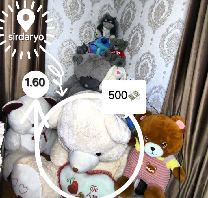 Oq teddy Oq teddy
