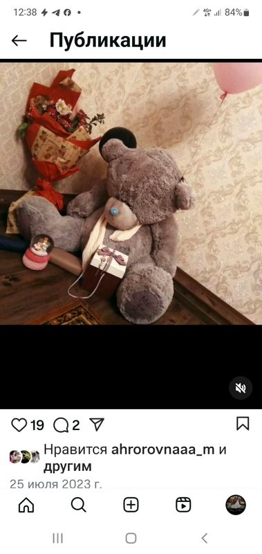 teddy teddy