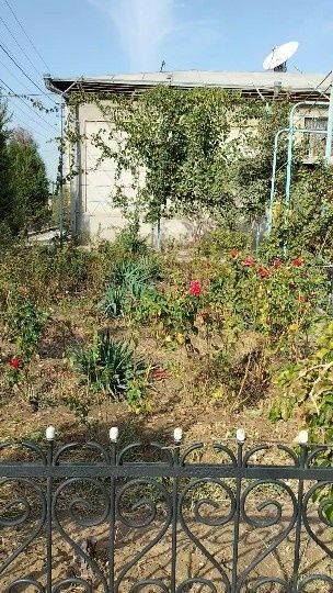 Учтепа Рувд срочно Учтепа Рувд срочно