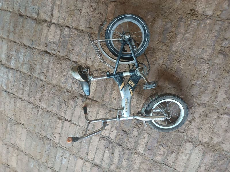Velosiped kichkina