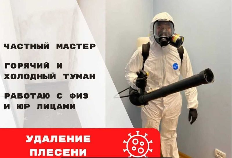 Dezinfeksiya Дезинфекция tarakan klop klapa burga chivin pashsha клоп Dezinfeksiya Дезинфекция tarakan klop klapa burga chivin pashsha клоп