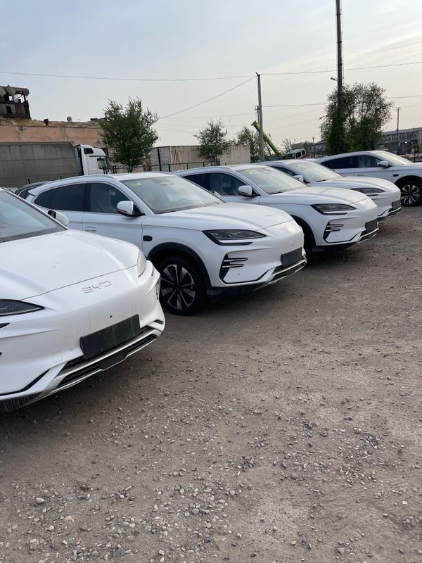 BYD 605 smart champion 25/26 Toshkent Avtosalonda