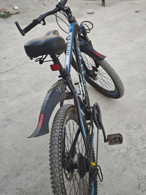 Sport tsikli sotiladi