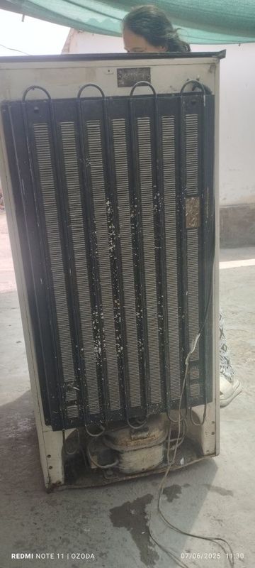 Yahshi haladinik Yahshi haladinik