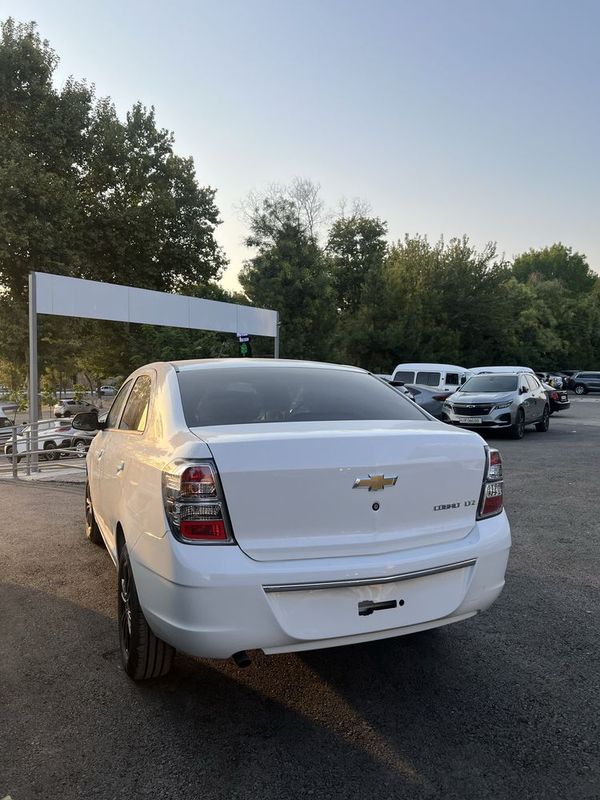 Cobalt midnight 2025 Cobalt midnight 2025