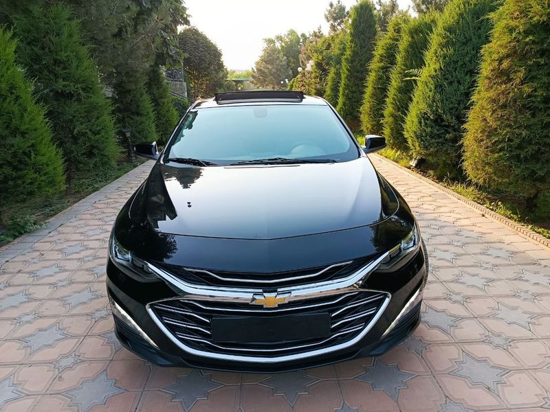 Malibu 2 Premer 2021! Holati ideal