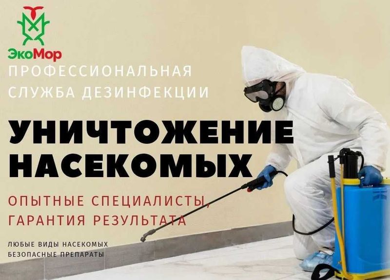 Dezinfeksiya klopa klapa tarakan Уничтожение тараканов, клопов и мышей Dezinfeksiya klopa klapa tarakan Уничтожение тараканов, клопов и мышей
