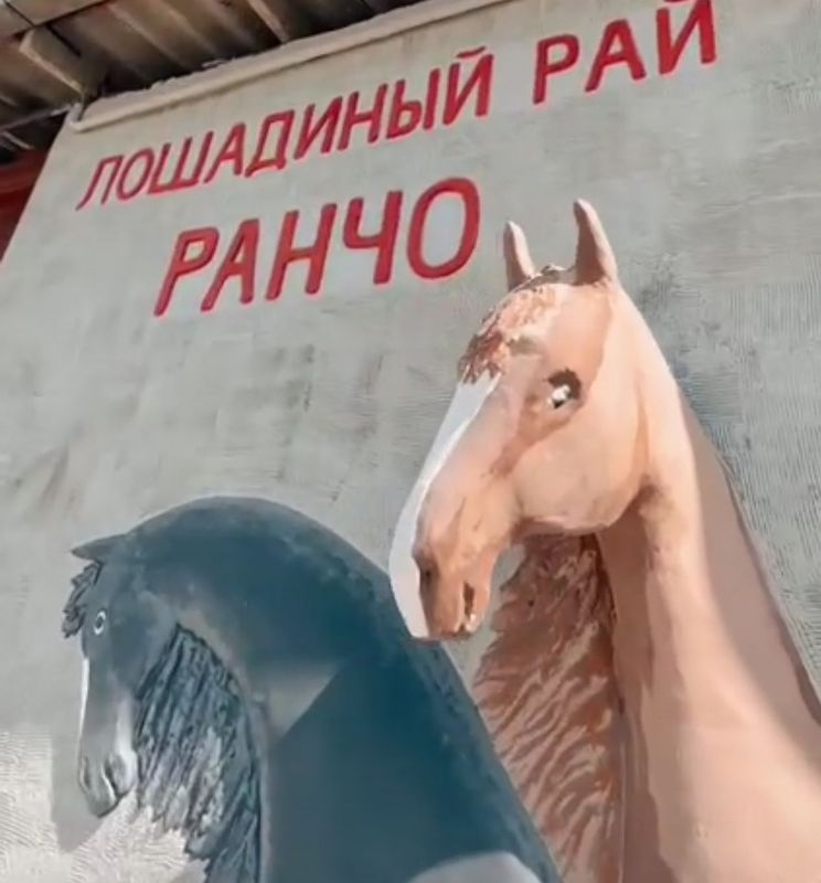 Место для содержание лошадей прогулка, уход,питание ест камера набл Место для содержание лошадей прогулка, уход,питание ест камера набл