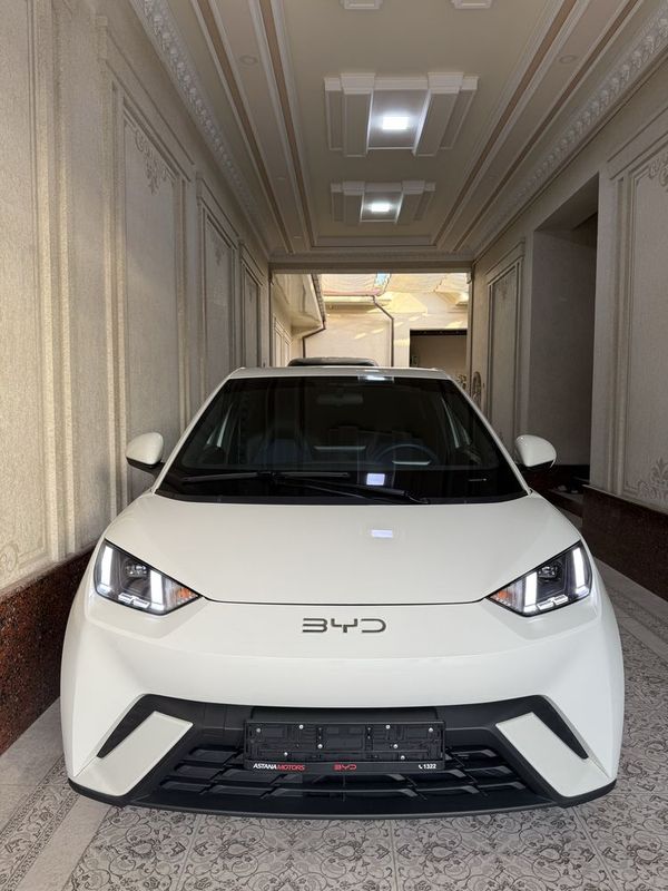 BYD seagull 2024 official naht yoki arenda(nasiya) BYD seagull 2024 official naht yoki arenda(nasiya)