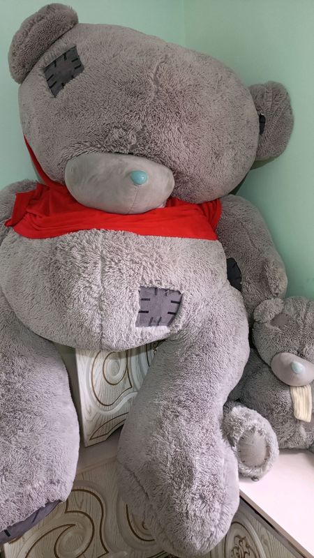 teddy ayiq teddy ayiq