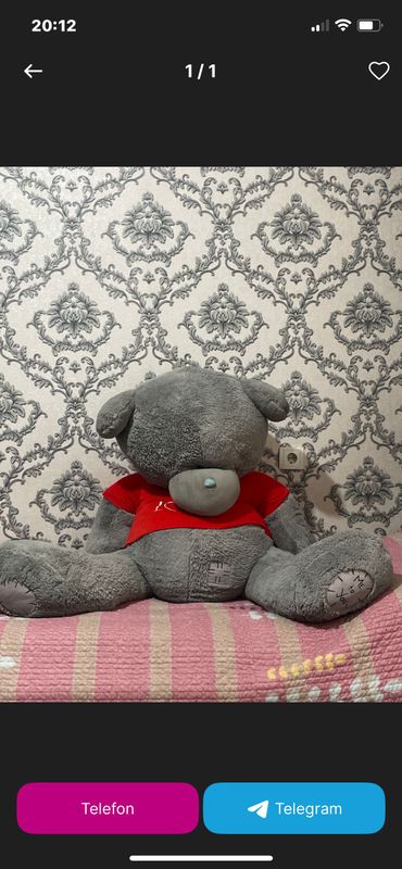 Teddy ayiq Teddy ayiq