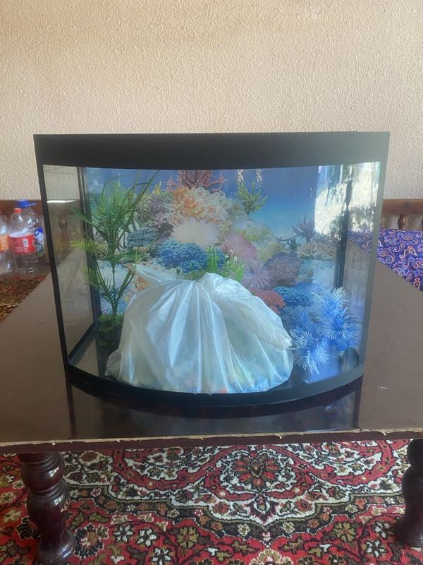 Akvarium Sotiladi Akvarium Sotiladi