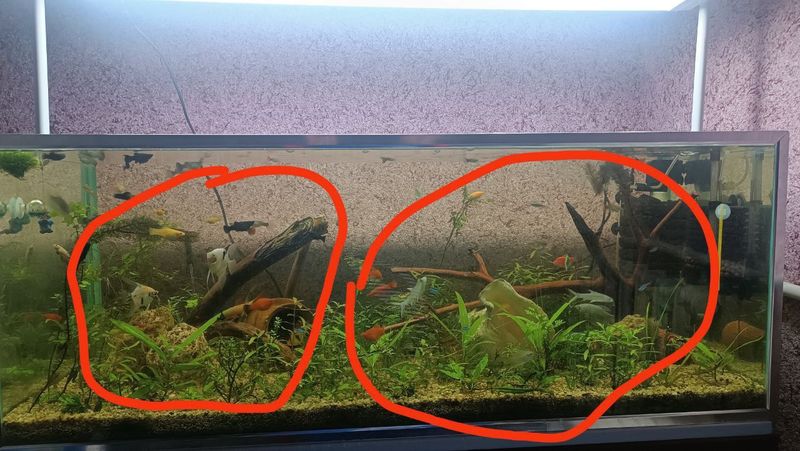 Akvarium karyagalari sotiladi 2ta