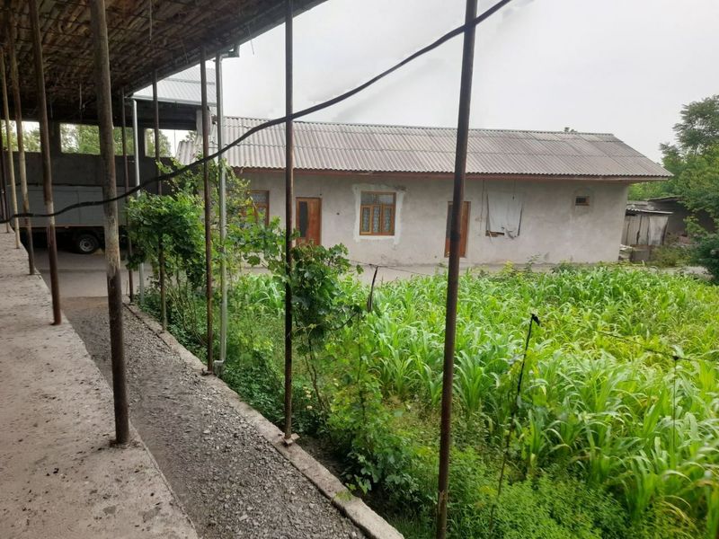 Katta hovli sotiladi sirochna Katta hovli sotiladi sirochna