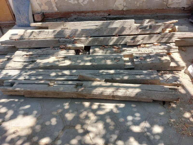 Qalama bolorlar sotikadi