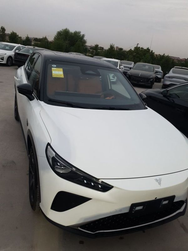 Neta L. Hybrid.2024. RWD. Neta L. Hybrid.2024. RWD.