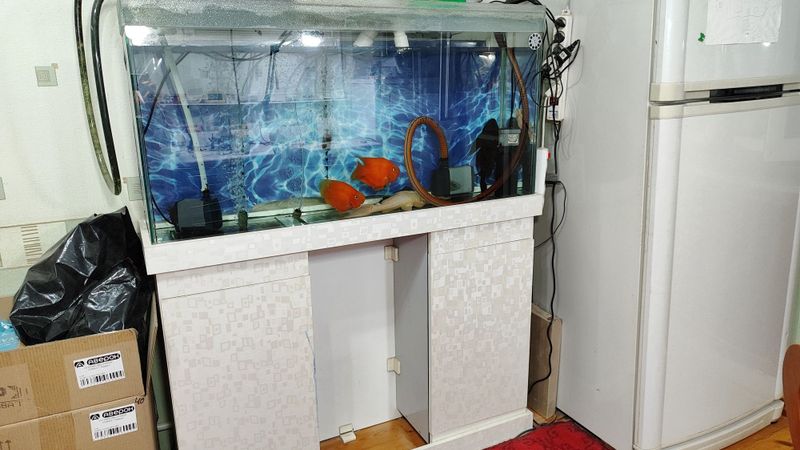 Аквариум сотилади баликсиз! Продается аквариум, без рибы! 500 000 Аквариум сотилади баликсиз! Продается аквариум, без рибы! 500 000