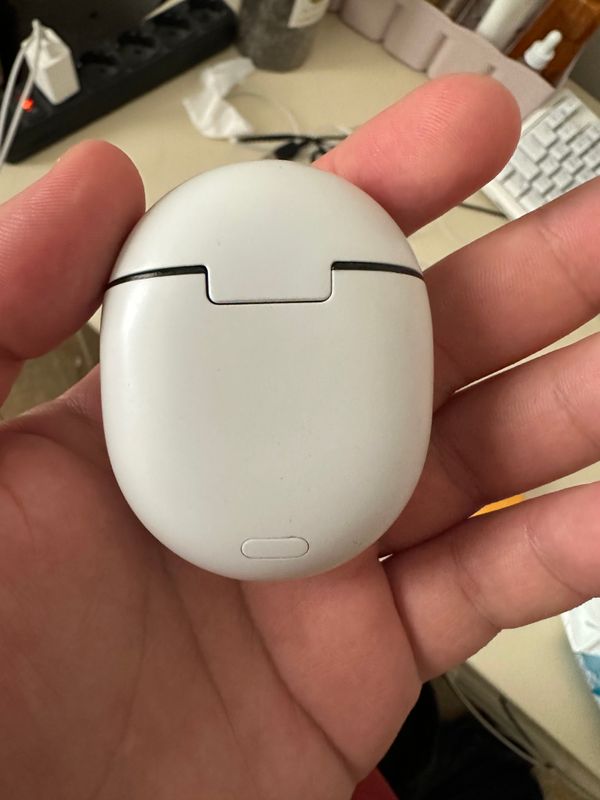 Pixel buds pro