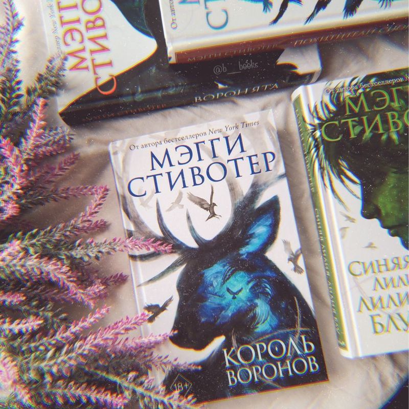 Книга Король Воронов - Мэгги Стивотер Книга Король Воронов - Мэгги Стивотер