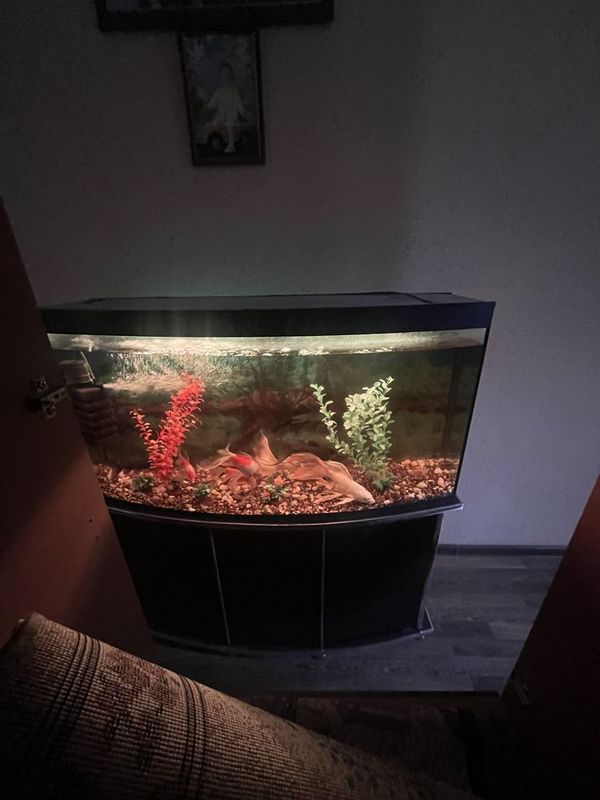 Аквариум 200L ва 130L Аквариум 200L ва 130L