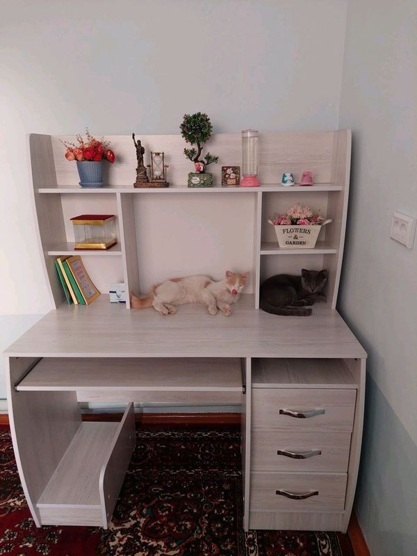 yengi narxi 900ming kop iwlatimagan yengi narxi 900ming kop iwlatimagan