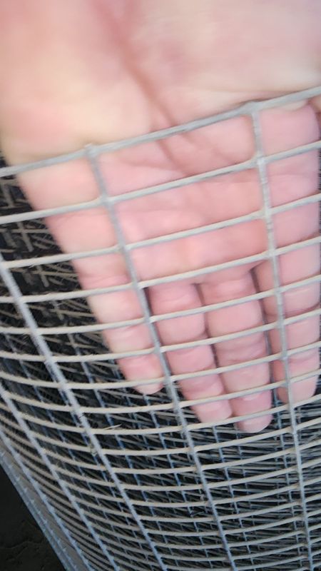 Продаётся сетка для попугаев (оценковка) Продаётся сетка для попугаев (оценковка)
