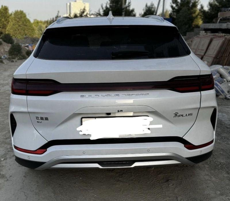 BYD chimpion 605 tali