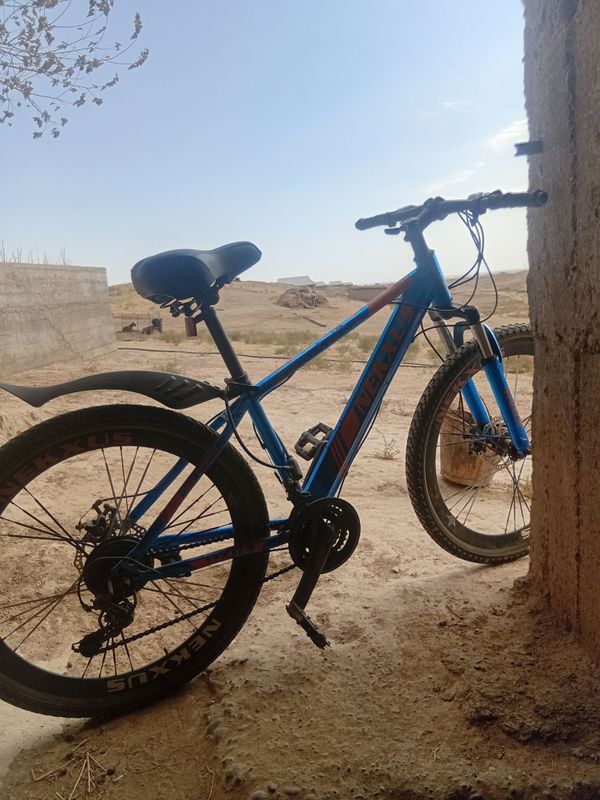 800 ming narxi