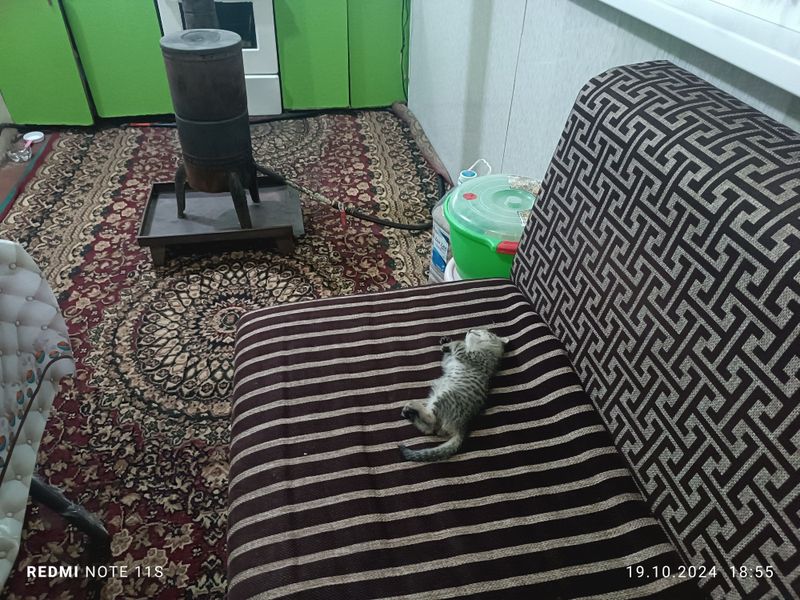 Янги курилган дом ижарага берилади Янги курилган дом ижарага берилади