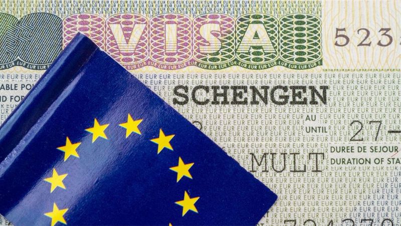 Navbat olish hizmat, Schengen va National viza yo’nalishi bo’yicha.