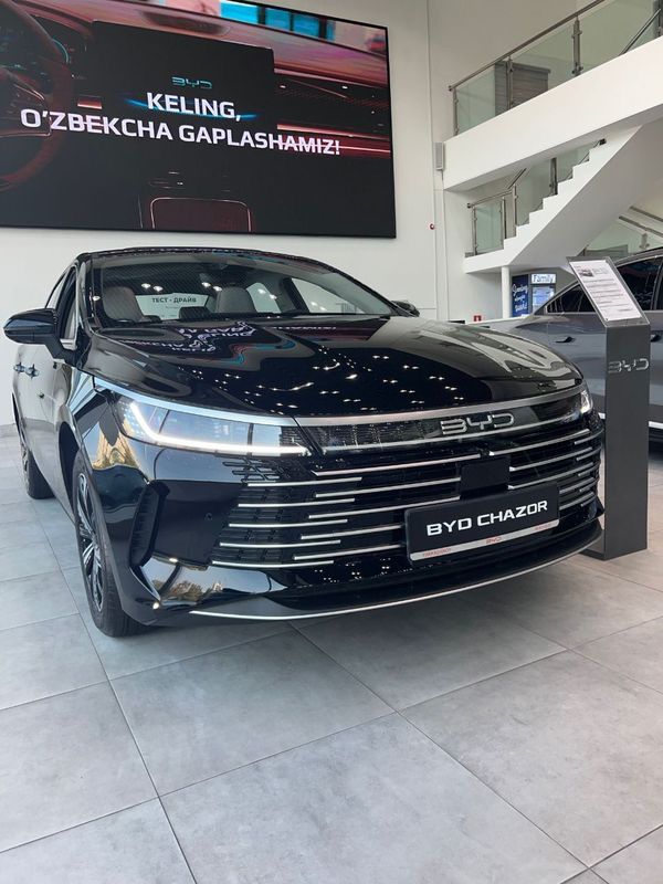 Byd Chazor 2025 Bezprobeg
