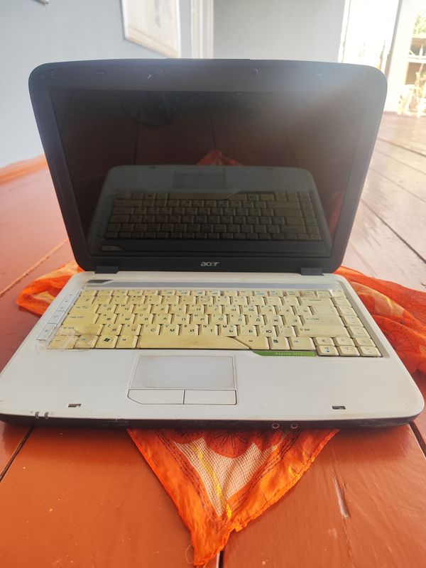 acer acer