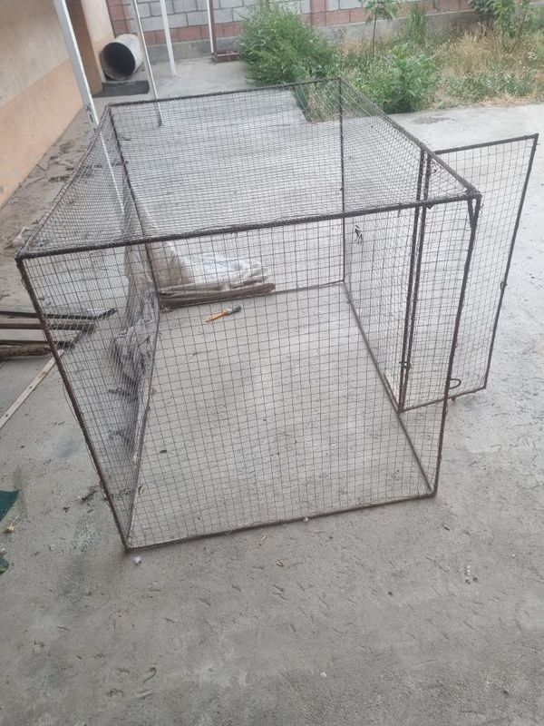 Tovuq katak sotiladi Tovuq katak sotiladi
