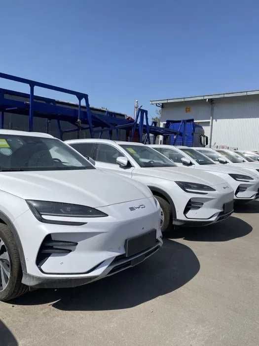 Byd Champion yengi bez probeg Byd Champion yengi bez probeg