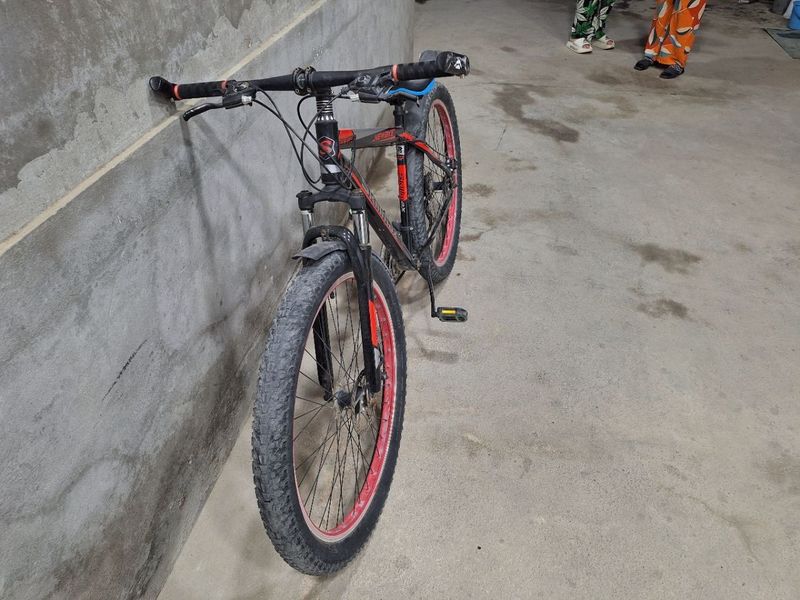 Velosiped 29 razmer