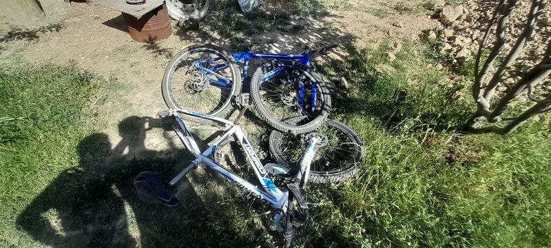 velosipedlar sotiladi 3 ta
