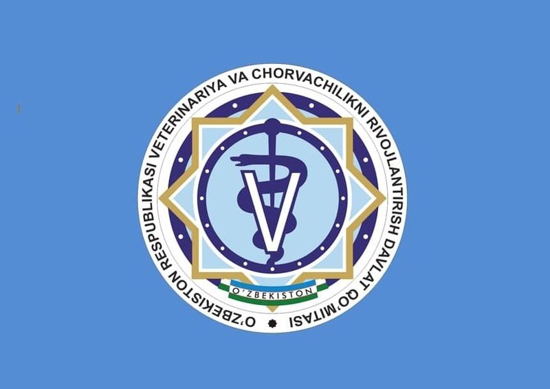 Ветеринарный врач