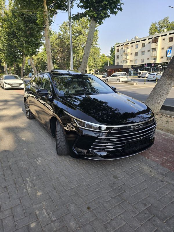 BYD Chazor idial BYD Chazor idial