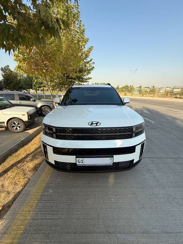 Hyundai santafe 2.5 Turbina full night paket
