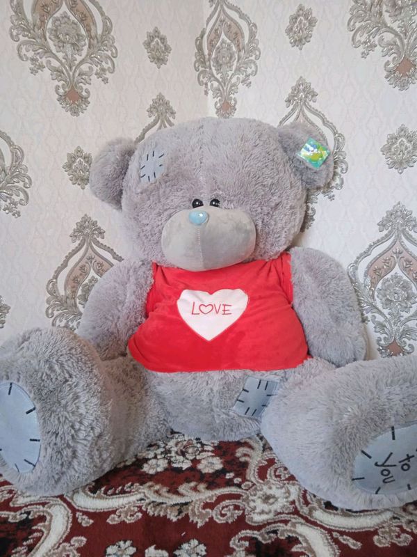teddy ayiq teddy ayiq