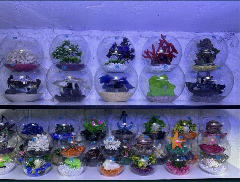 To’y va bayramlar uchun akvarium