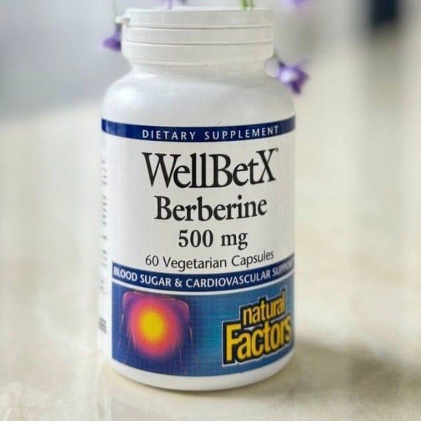 WellBetX Berberine 500mg