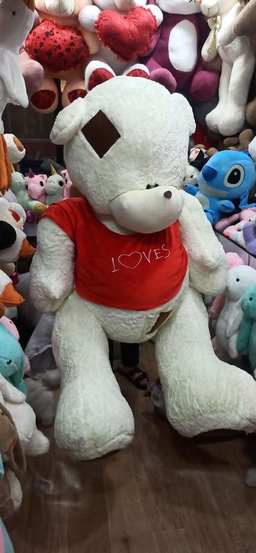 Teddi, Teddy ,Oq teddy, qizil teddy Teddi Qizil Oq Teddi, Teddy ,Oq teddy, qizil teddy Teddi Qizil Oq