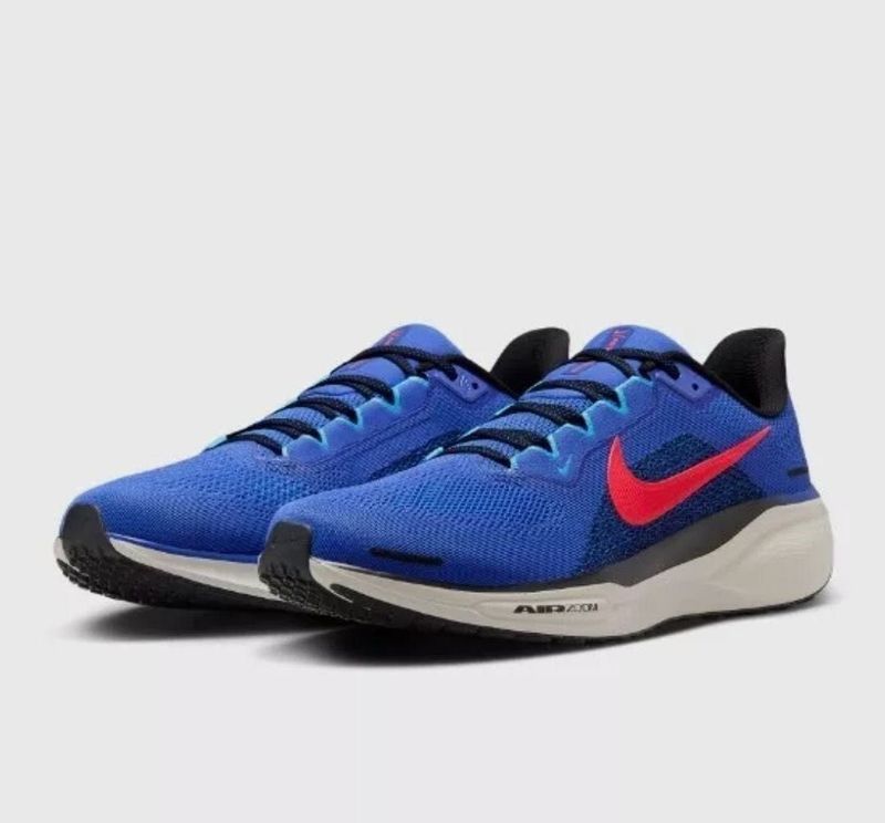 Nike Pegasus 41 original